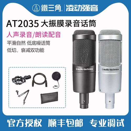 Audiotechnica Iron Triangle AT2035 Чтение критической способности мнение голос