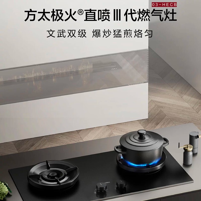 Fangtai 03-Hecb Gas Stove for Home Use, Dual Burner, Built-In Natural Gas Stove with 9-Level Adjustment