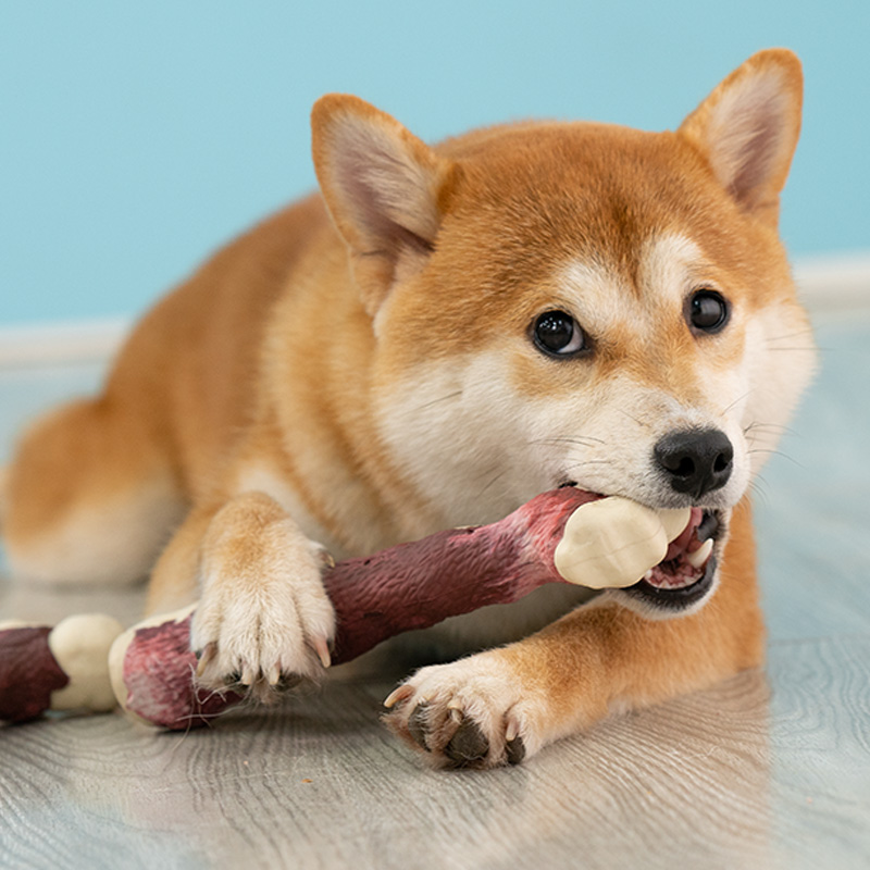 Dog toy emulated bone grindle resistant to bite, anti-smoldering Teddy dog Teddy fights small and medium dog pet supplies