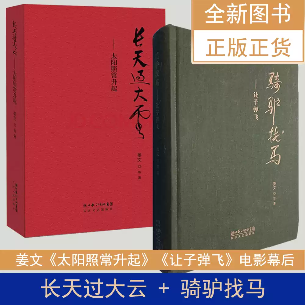 姜文作品集骑驴找马: 让子弹飞+长天过大云: 太阳照常升起（2本合售) 长江文艺出版社