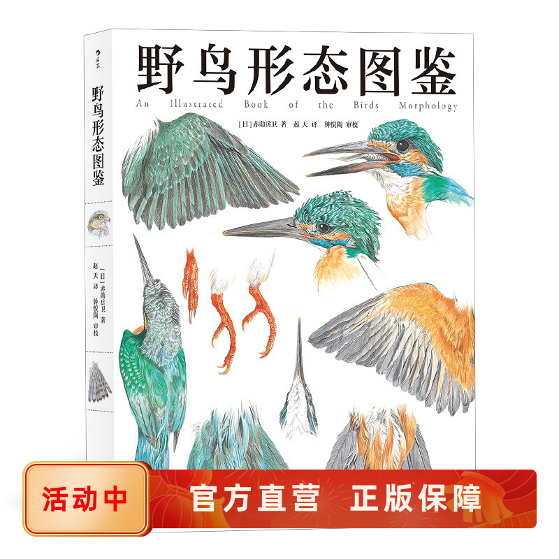 野鳥の形態学イラスト、バードウォッチング、グラフィックレコード、バードウォッチング愛好家、紙の博物館、野生生物の研究と保護、人気の科学書籍、ホウランの本物のスポット