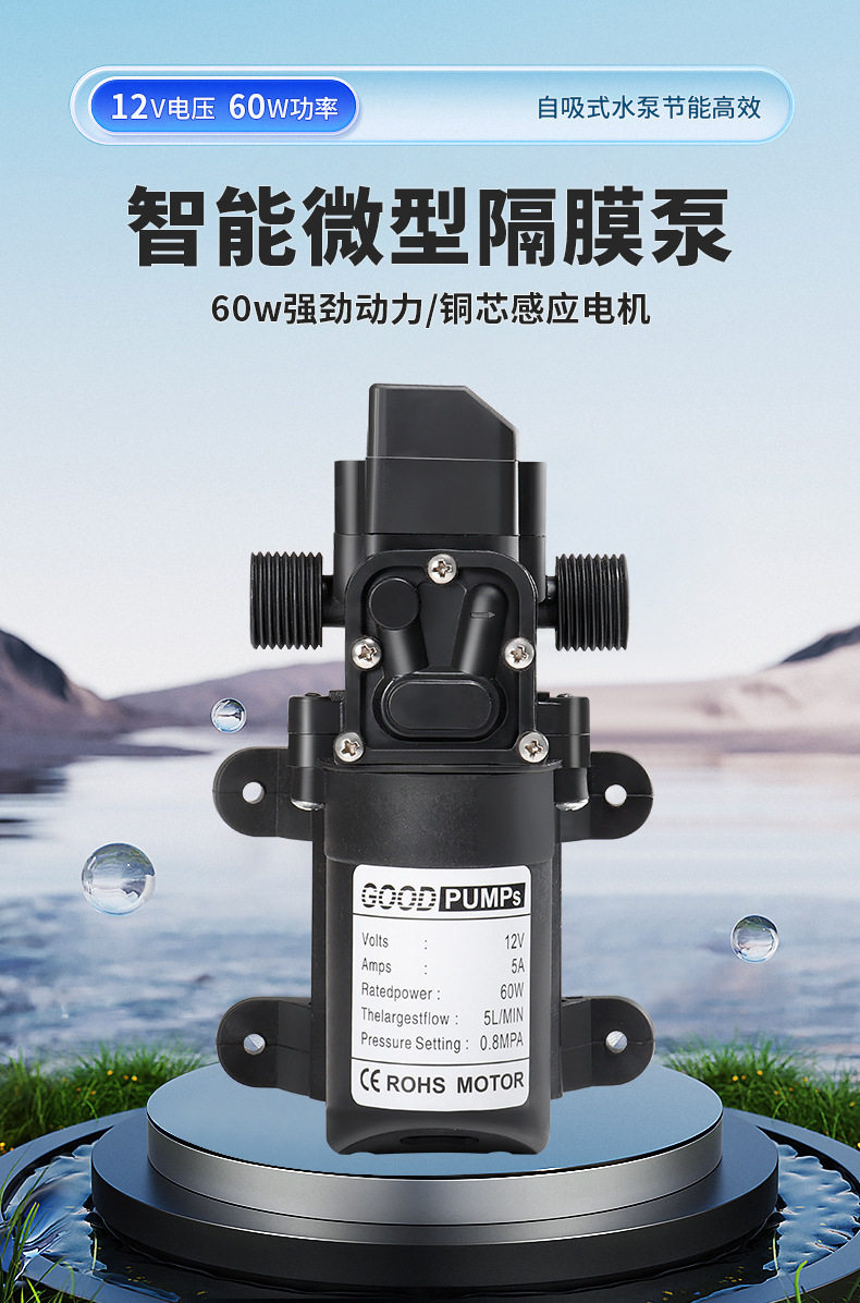 Бустерный насос 直流变交流电动喷雾器专用泵12v220v回流隔膜泵微型抽水增压泵