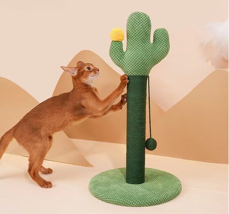 Cat scratching cactus cat toy cat climbing frame small cat scratching board does not drop crumbs wear-resistant cat scratching board vertical claw grinder