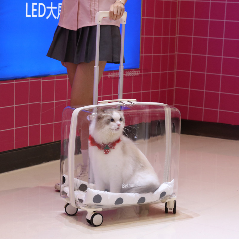 Cat Moms Bubble Box Out Portable Pull-Lever Box Full Transparent Walking Dog Space Crate Pets Travel Li Bags Breathable
