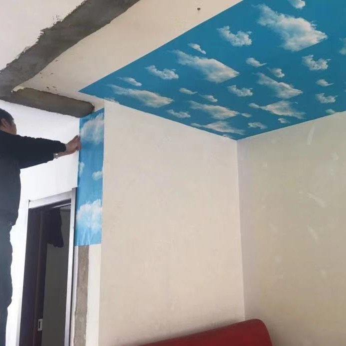 Ceiling Shade Ugliness Top Countryside Waahouse Roof Deco Roof Tile Roof Tile Ceiling Shelter fabric Renovated Wall Sticker