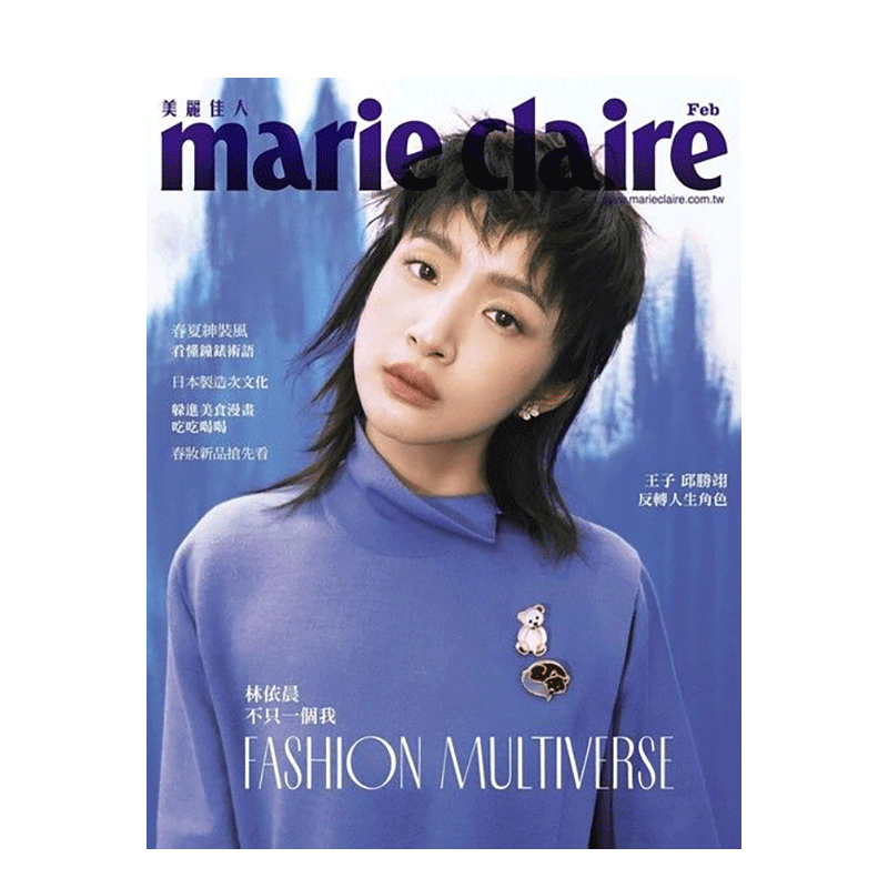 希少本】美麗島雜誌40週年復刻版（4冊）/美丽岛杂志40周年复刻版
