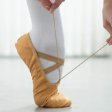 Танцевальная туфли детское мягкое дно практиковать кот кошачьи кот летние летние танце