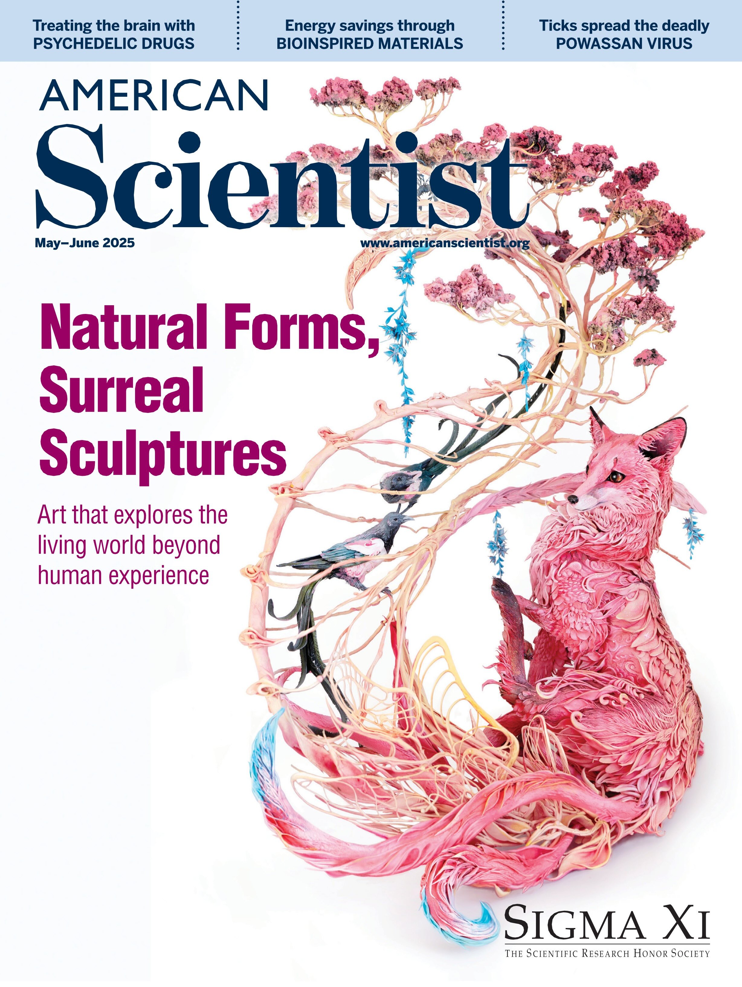 American Scientist 美國科學家雜志 2025年更新中