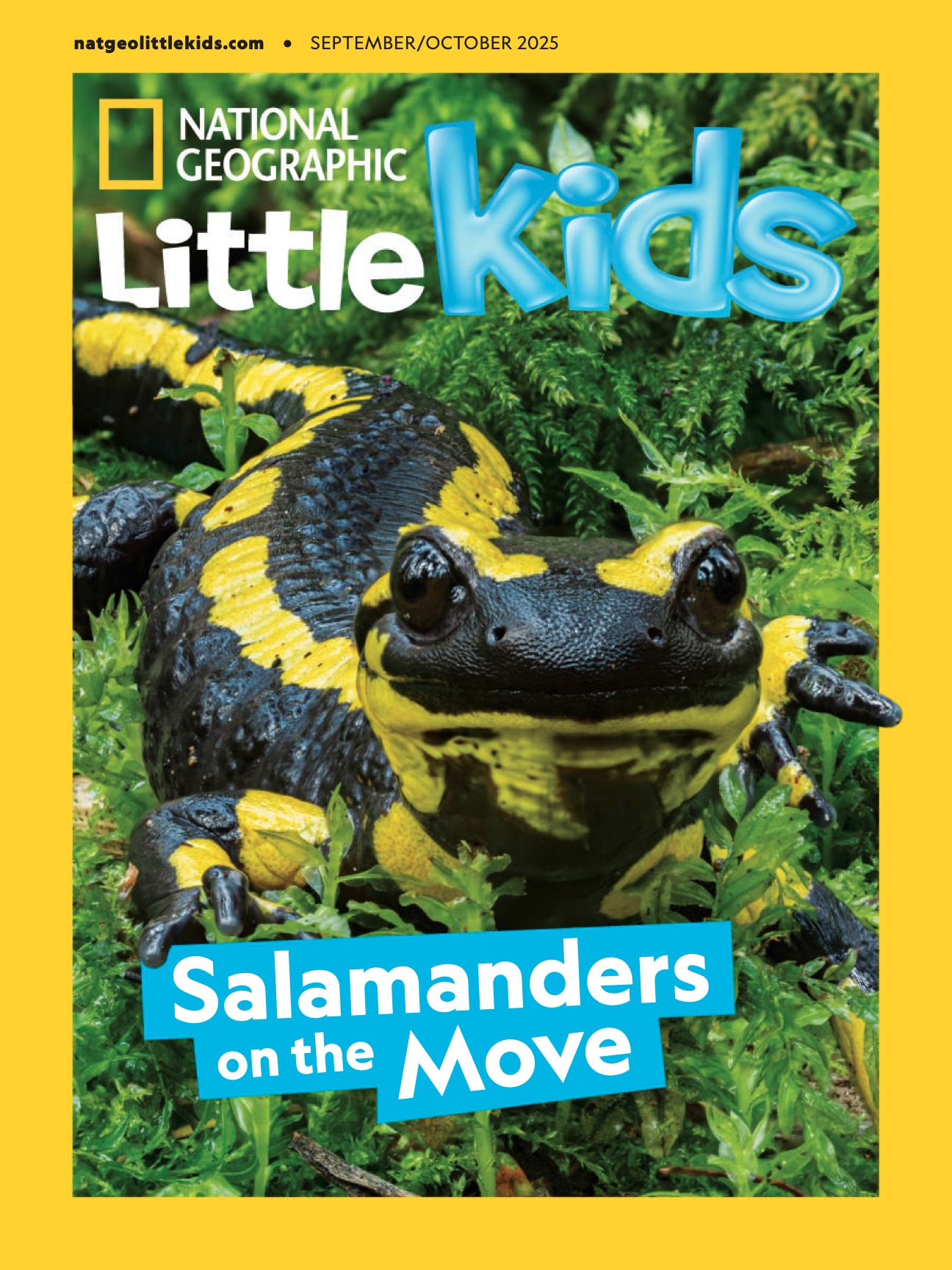 National Geographic Little Kids USA 2025.09&10_1.jpg