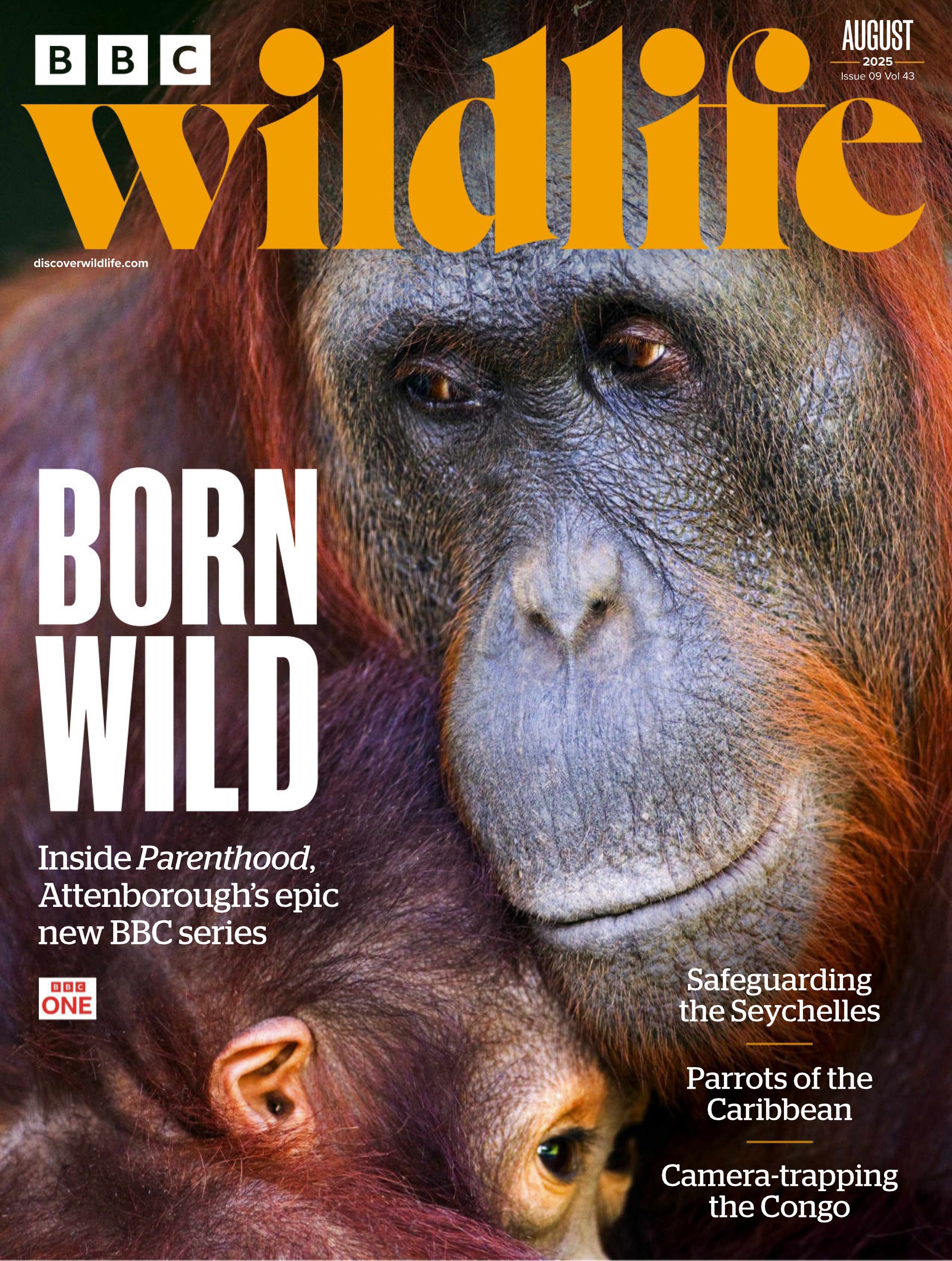 BBC Wildlife 2025.08_1.jpg