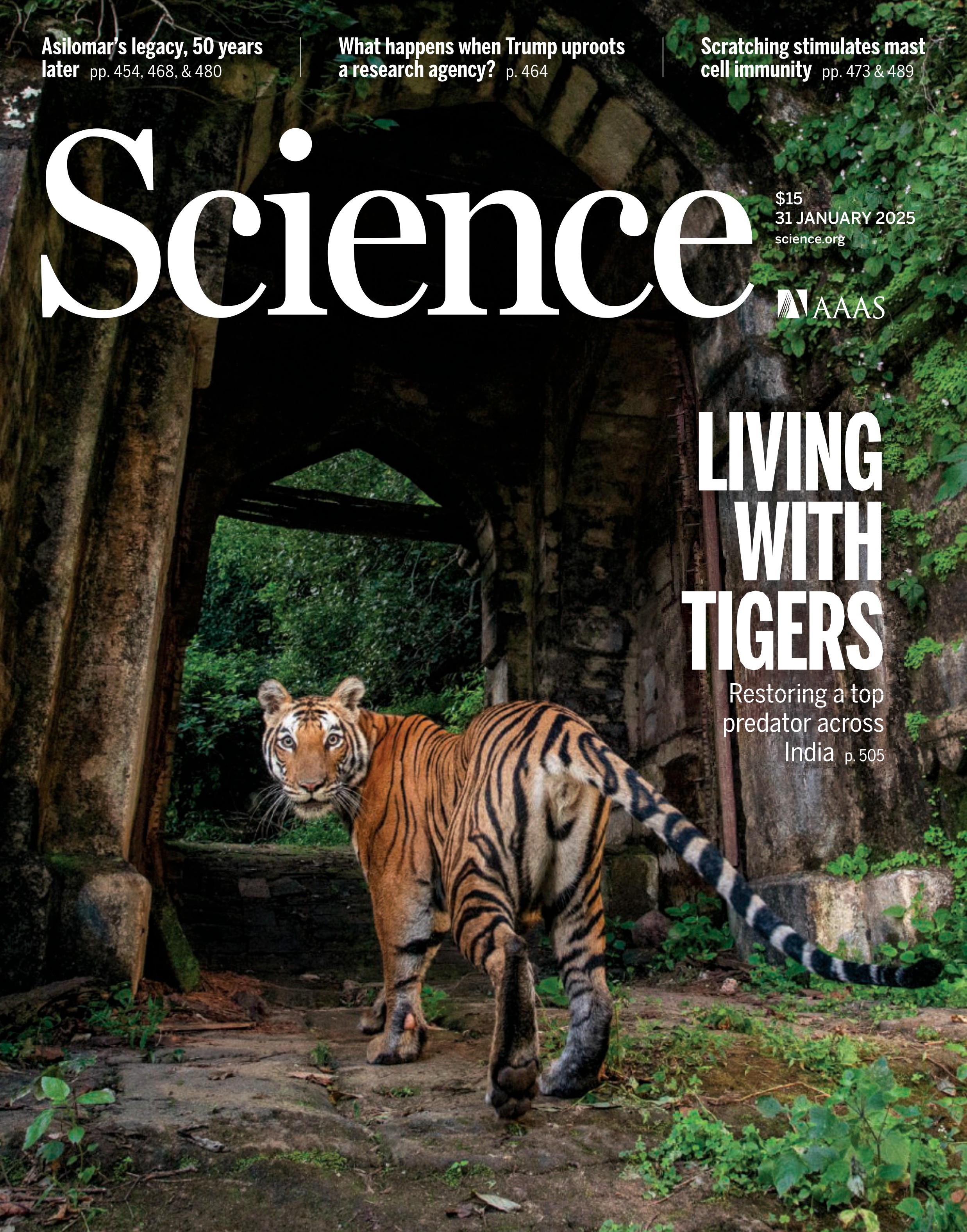 Science 2025.1.31.jpg