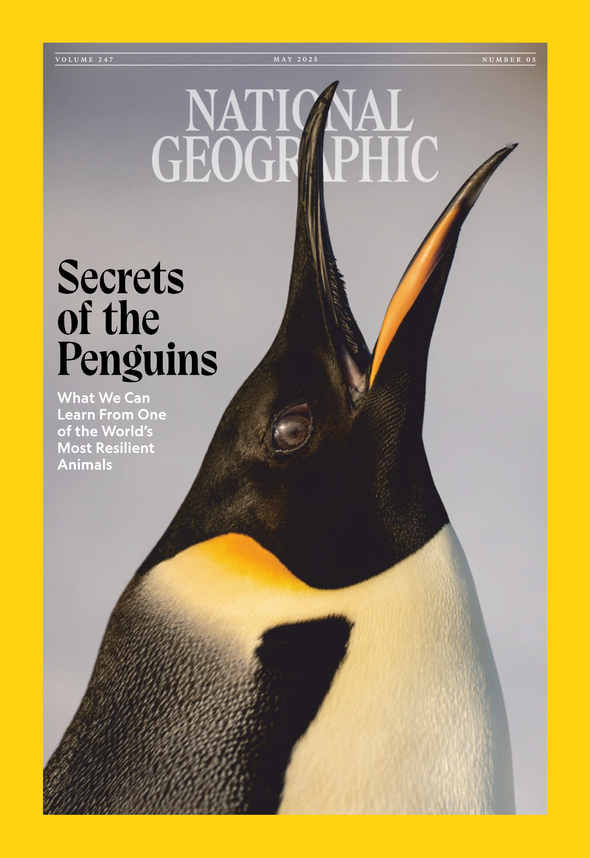 National Geographic USA 2025.05.jpg