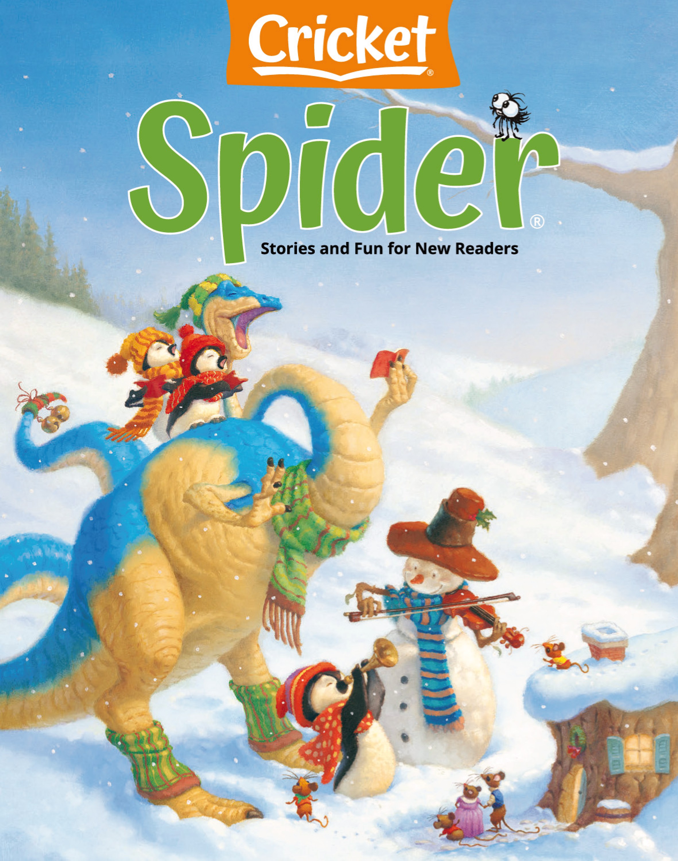 Cricket Spider 2024.11&12.jpg