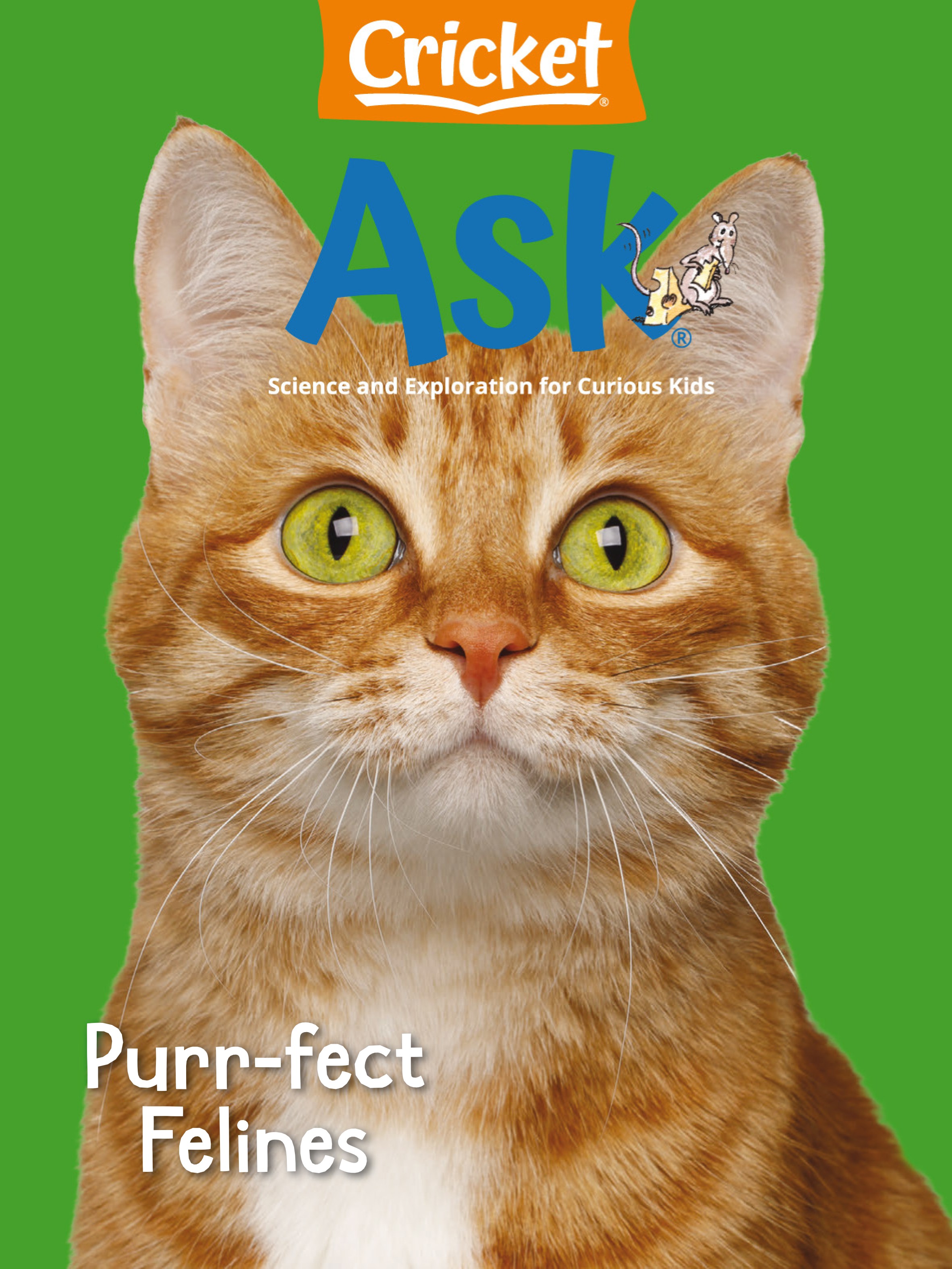 Cricket Ask 2025.02.jpg