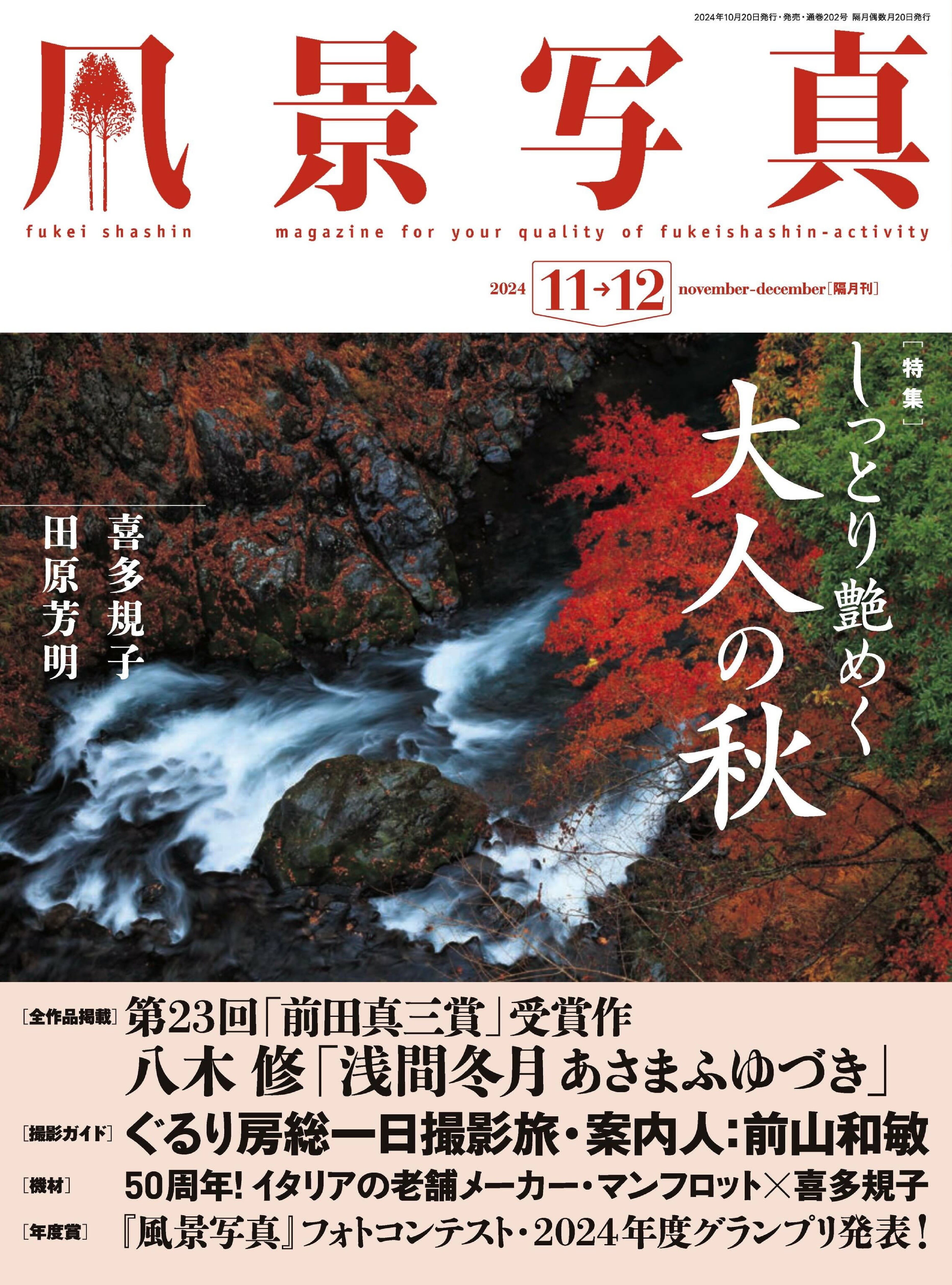 風景写真 2024.11&12.jpg