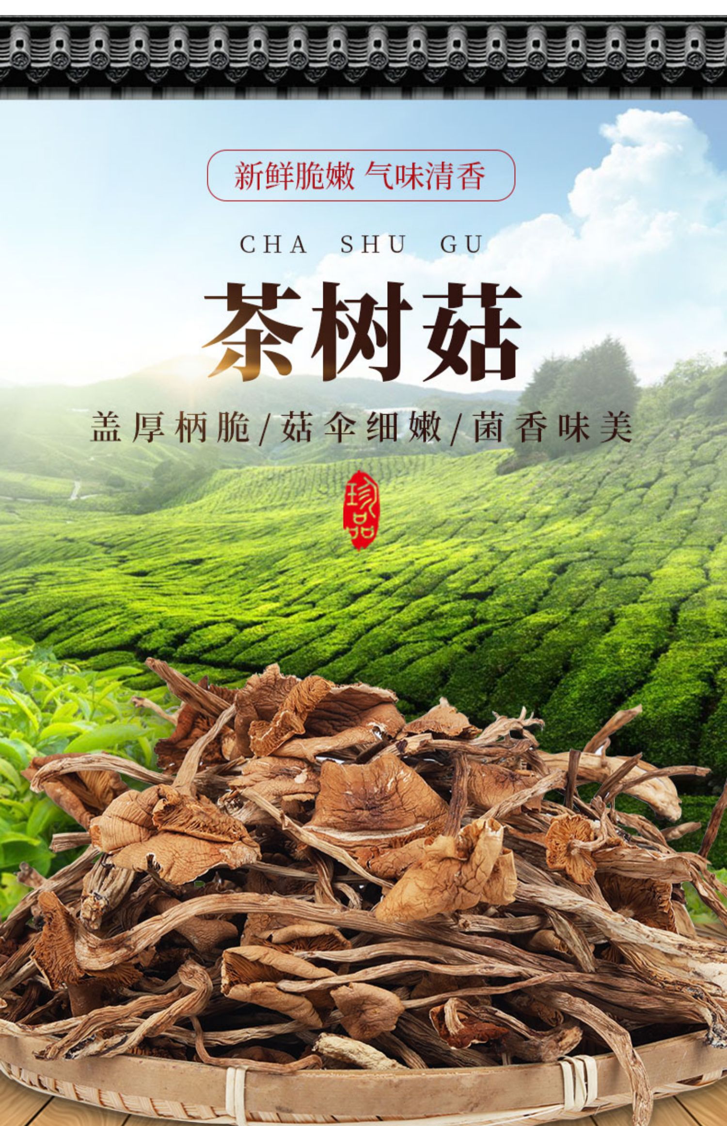 【250g】雪中王福建茶树菇干货