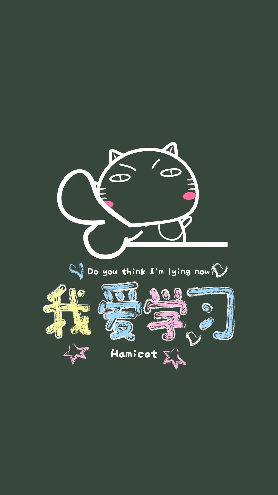 智力学习猫