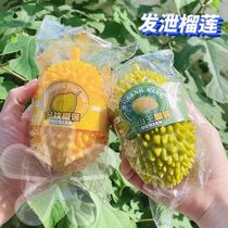 Outgassing the Divine Instrumental Shake-Up Emulation Fruit Cat Mountain King Durian to vent a pinch of pinch and a creative whole depressurization toy