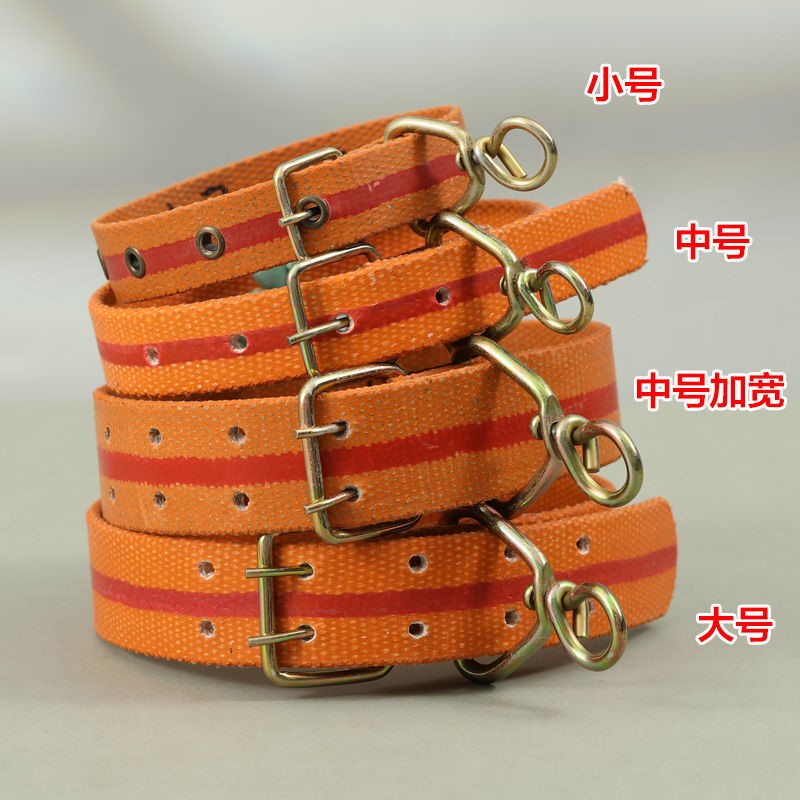 Dog Collar Dog Necklace Dog Necklace Dog Neck Ring Dog Neck Ring Medium Dog Kennel Dog Neckline Dog Necklace Dog Necklace