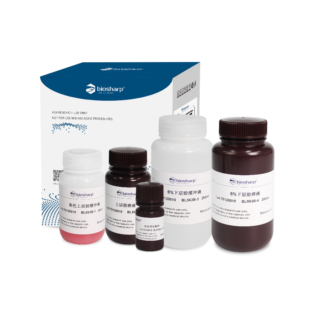 Biosharp  SDS-PAGE彩色凝胶快速制备试剂盒BL563B 6%/8%/10%/12%/15%