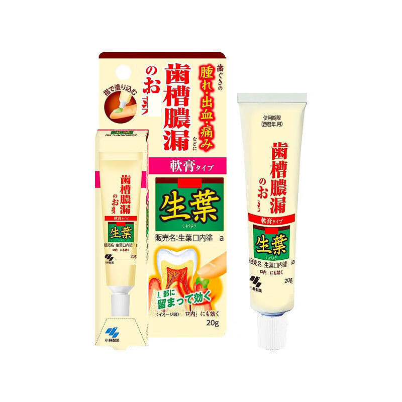 小林制药日本牙周红肿胀牙龈疼萎缩松动止出血涂抹软膏液20g