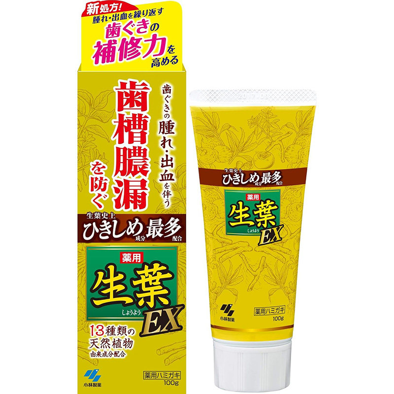小林制药日本牙膏牙龈牙周问题蛀牙齿槽脓漏牙膏白齿 生叶EX 100g