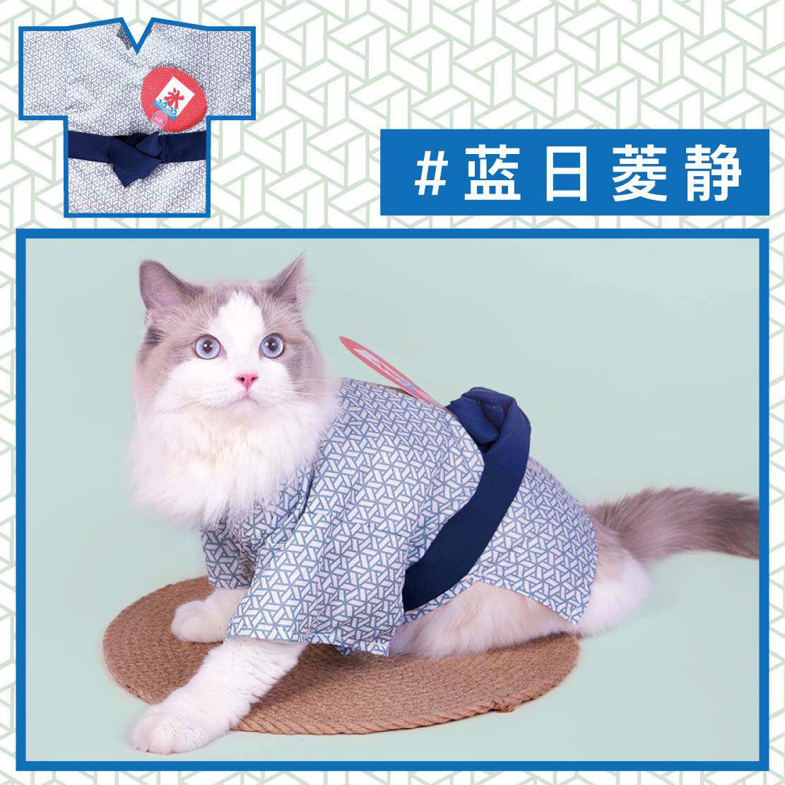PuLa poof laboratory b firework flutter clothing meeting style bathrobe cat and big pet clothes r clothes spring and summer clothes thin dog clothes
