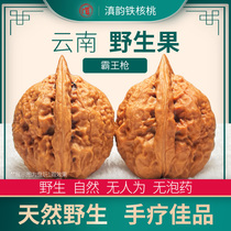 Wenwan Walnut Four Towers Lion Head Green Leather Qilin Pattern Official Hat Apple Orchard Tiger Head Premium Color Overlord Gun