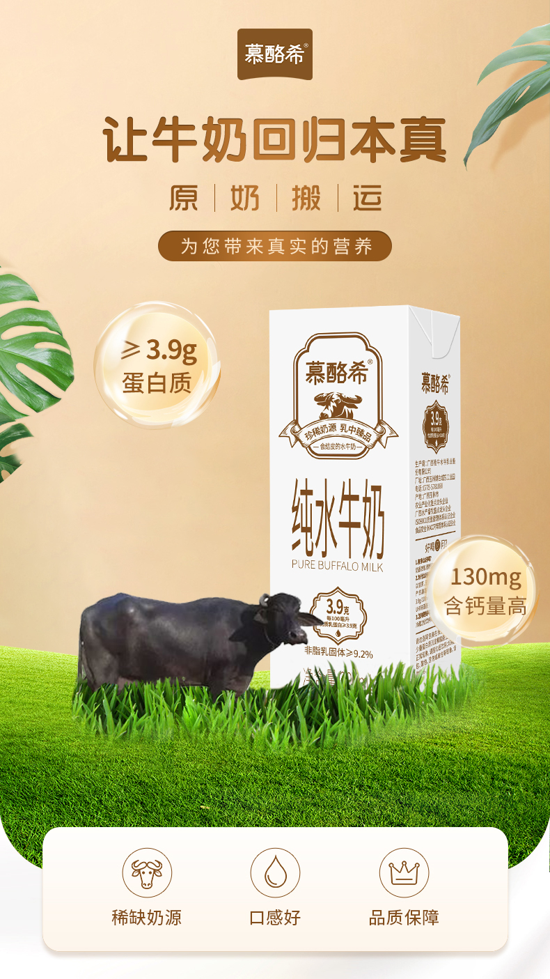 慕酪希 尼里拉菲水牛 纯牛奶200ml*10盒 图1