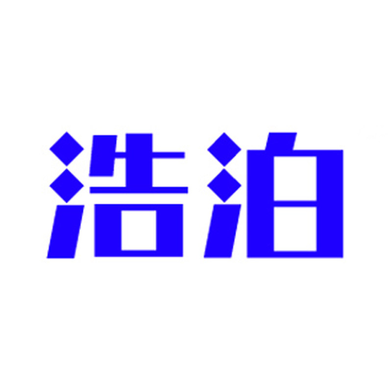 浩泊品牌直销店