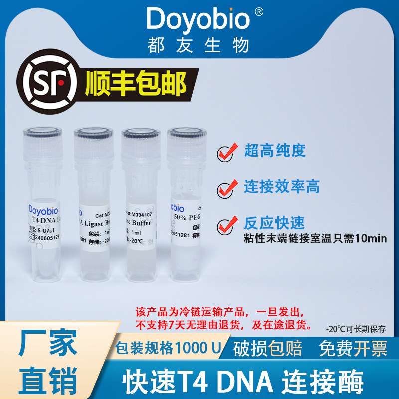 都友生物 快速T4 DNA连接酶 1000 U，T4 DNA Ligase（Fast）