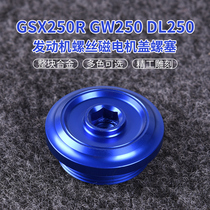 Applicable Suzuki GSX250R engine screw retrofit accessories GW250 Motorcycle DL Magnetic motor cover screw plug