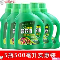  Green Ole Floral Nutrient Solution Plant Universal 5 Bottle Type Potted Flower Fertilizer Organic Fertilizer Multi Meat 1 bottle of liquid hydropony