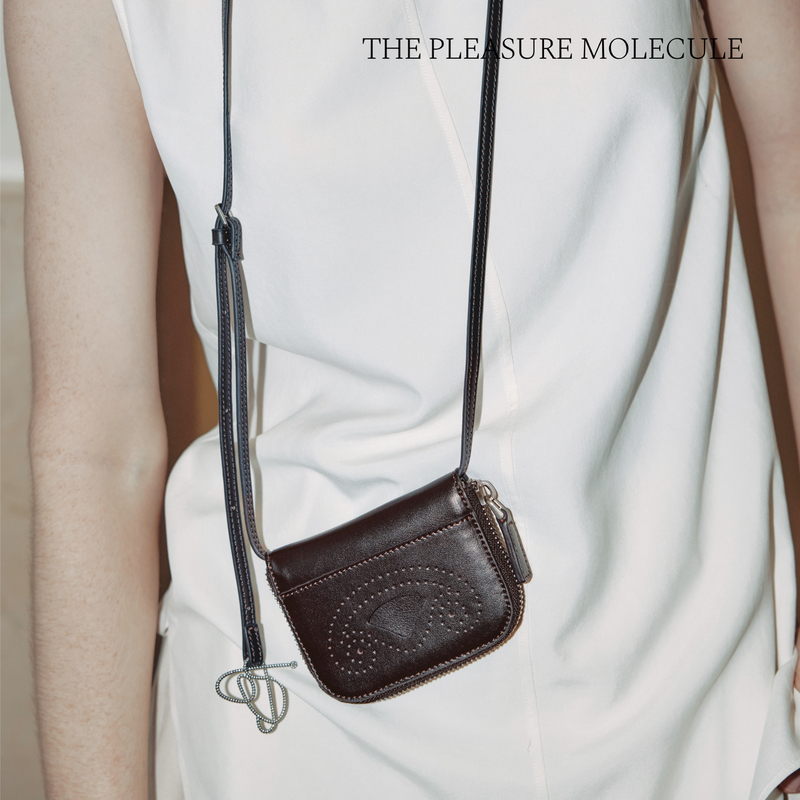 The Pleasure Molecule Exquisite Card Holder Accessory Loafers Wallet Cowhide Suede Crossbody Coin Purse