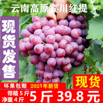 Fresh red grape raiser tropical fruit with box 3kg net weight 4kg Yunnan Dali Binchuan Hongti