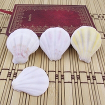 Hermit crab conch DIY pattern diyDIY micro landscape decorative ornaments thick scallop crafts