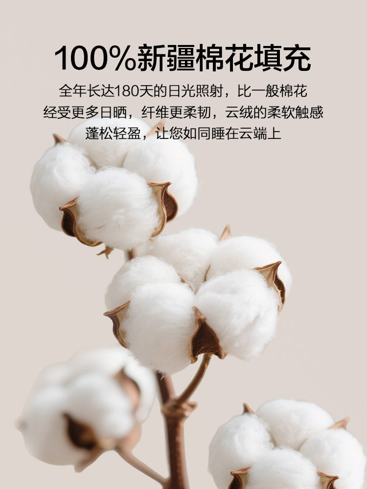 Winter Quilt Made of Pure Cotton from Xinjiang, Quilt Core for Autumn and Winter, Cotton Quilt, Cotton Batting, Thickened for Warmth in Winter, Single-Person Spring and Autumn Bedding