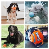 petmate Интерактивная дорожная резиновая игрушка для тренировок, домашний питомец