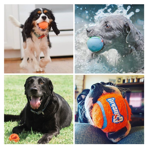 petmate Интерактивная дорожная резиновая игрушка для тренировок, домашний питомец