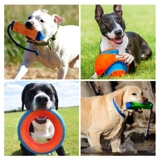 Petmate Pyrite Pet Ball 吣 Два пелича