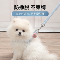 Dog Rope Small Dog Baby Cat Tea Cup Dog Traction Rope Rabbit Chihuahua Teddy Small Dog Rope