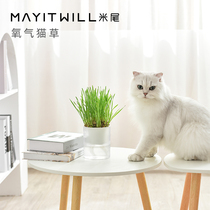 MAYITHILL RICE TAIL OXYGEN POTTED WATER PEP CAT GRASS CAT MINT SEED KITTY Zero Esophageal GROSS