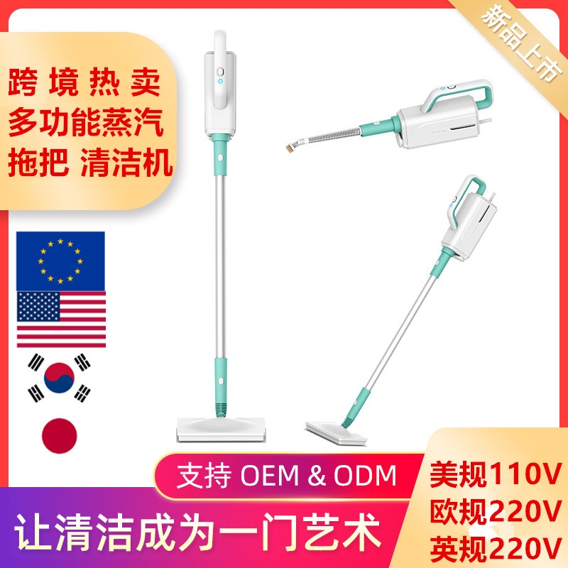 Overseas 110v Appliances Flagship Store Superior Rice With Pint 110v Taiwan Multifunction Steam Cleaner Electric Multifunction-Taobao