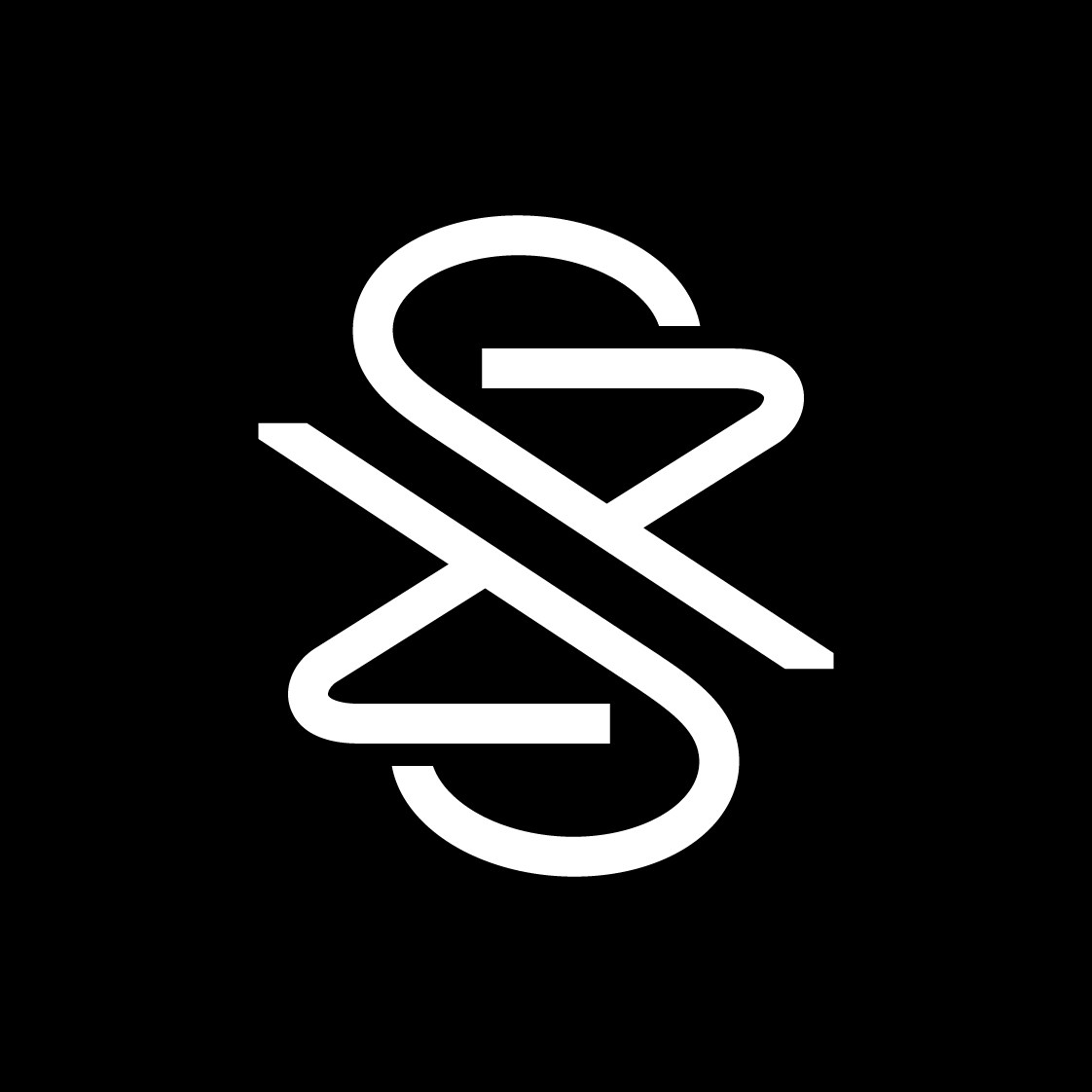 直述旗舰店的LOGO