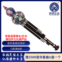 葫芦丝C调降b调民族乐器景泰蓝红木黑檀木专业演奏型葫芦丝推拉杆