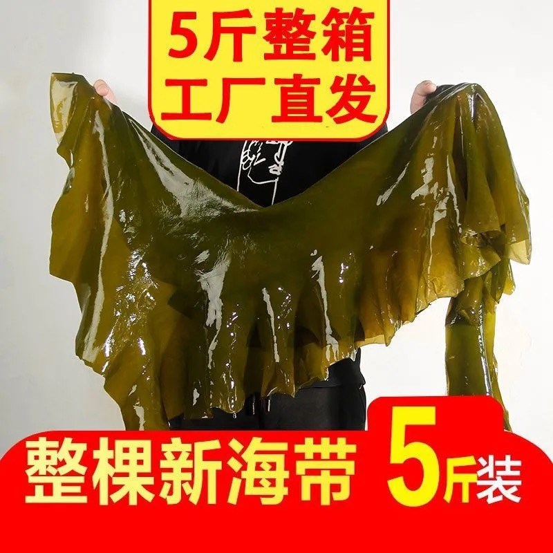 Bohai catcher whole kelp Dalian kelp 5 catties box