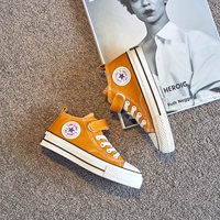 1636 Средняя трубка куркума