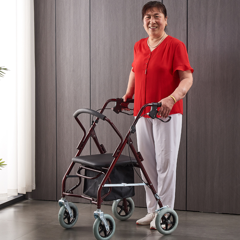 Shopping trolley for the elderly can be pushed or sat