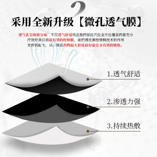 Поясничная тарелка, выступающая поясничный позвоночник, поясничный диск, боль в пояснице, поясничная мышца, сливки, боль в пояснице, поясничный позвоночник холодного сжатия гель