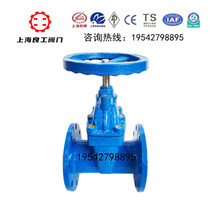 Shanghai Liangworked Soft Seal flange Dark rod gate valve Z45X-16Q elastic base tap water valve DN65